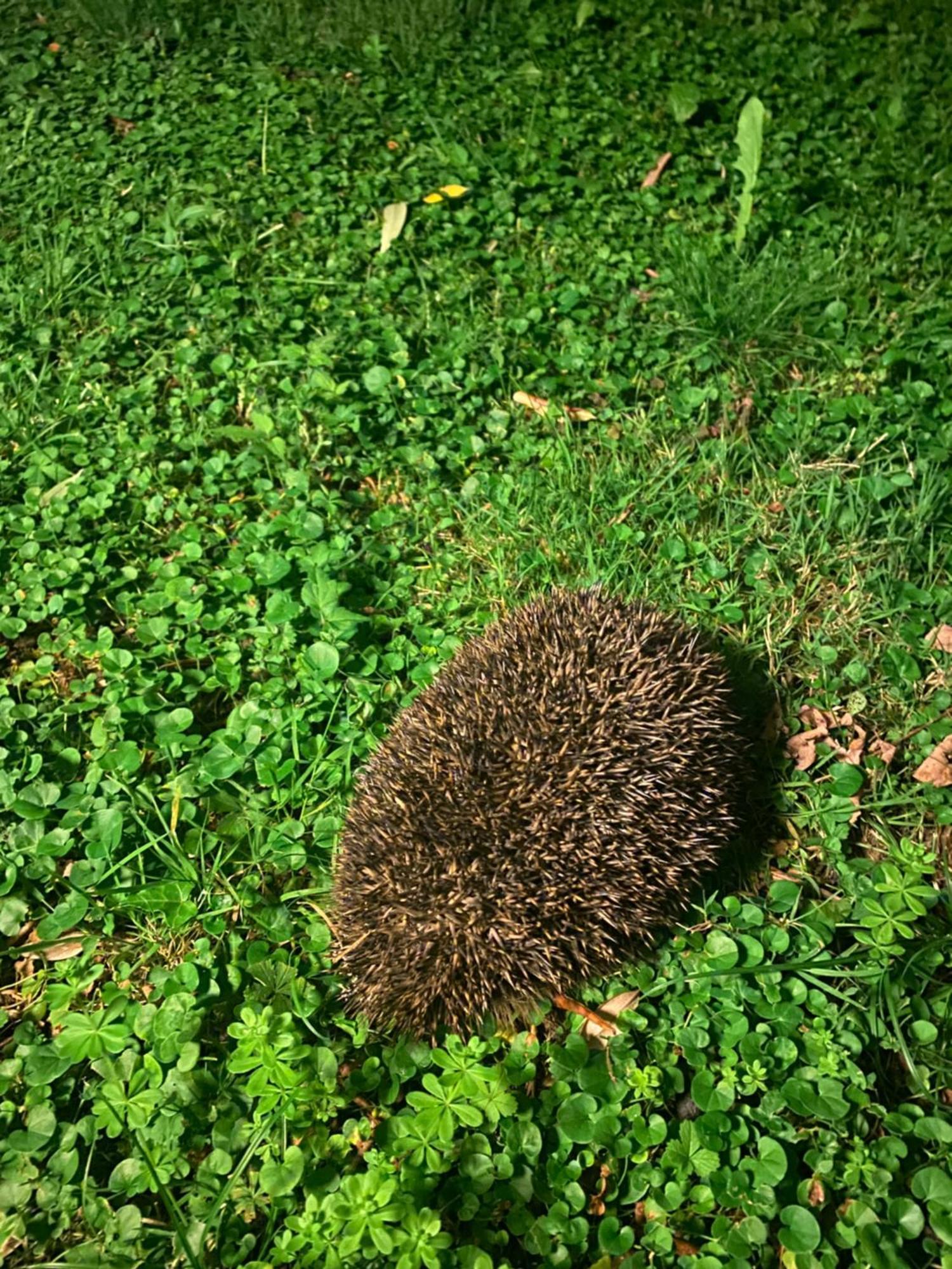 Ca D Andrea Villa Bagnone Dış mekan fotoğraf